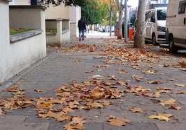 Hojas caídas en la calle Hernando de Acuña de Parquesol.