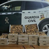 Sorprendidos en Segovia tres recolectores ilegales de Valladolid con 65 kilos de níscalos