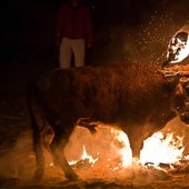 Medinaceli defiende su tradición y lucha por la celebración del Toro Jubilo