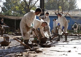 Voluntarios trabajan en las labores de retirada de lodo en el polideportivo de Masanasa (Valencia).