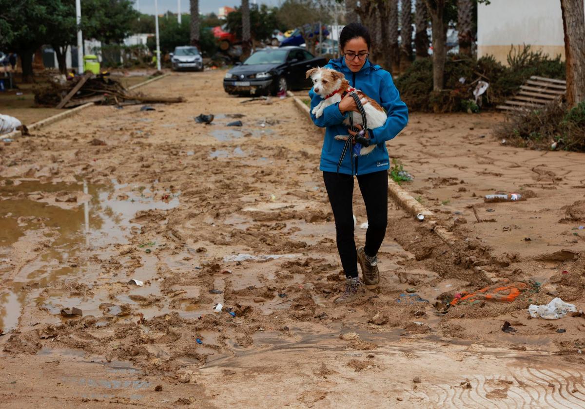 Una mujer pasea con su perro por Catarroja, el pasado día 16.