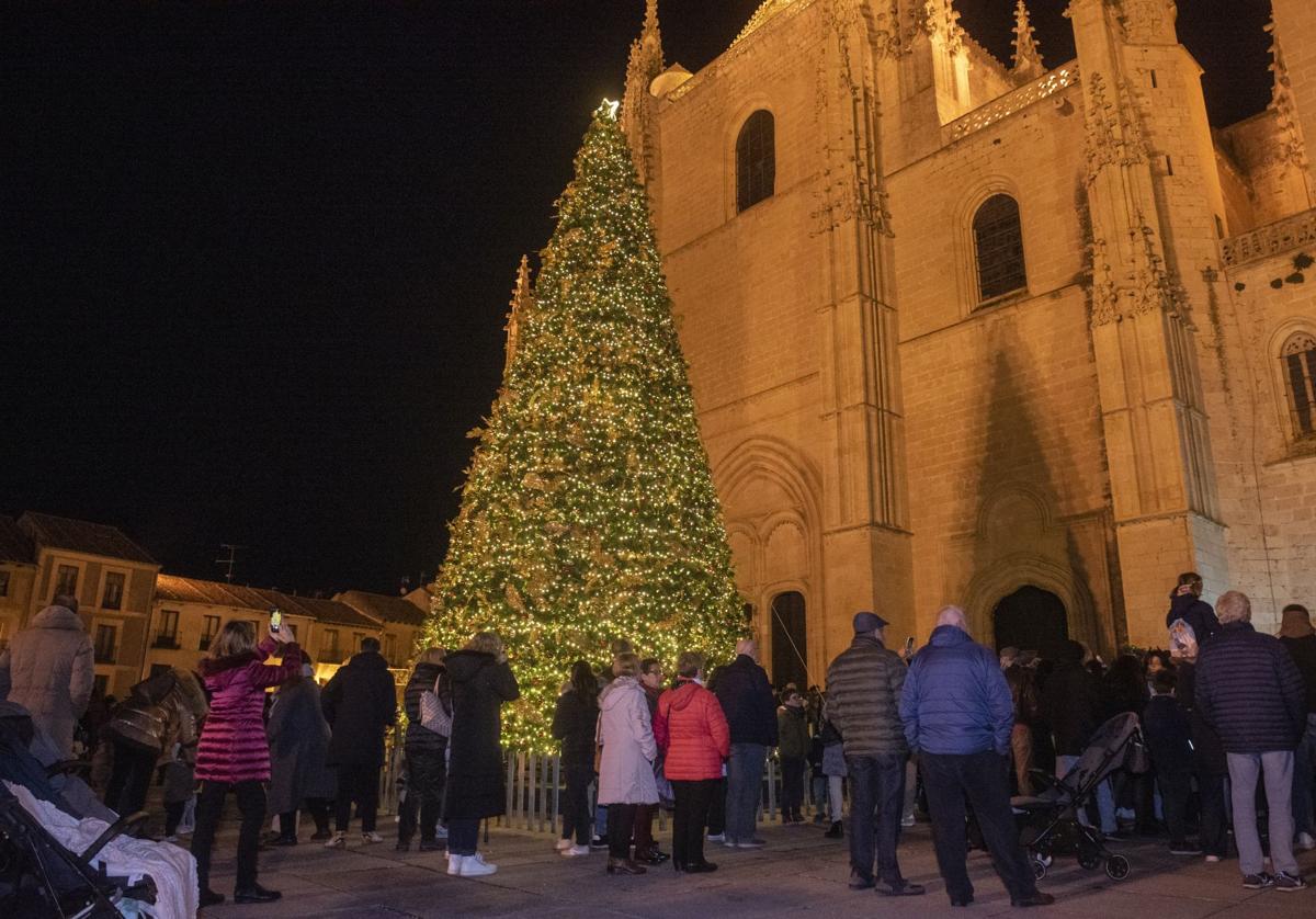 El árbol de Navidad luce en el enlosado.