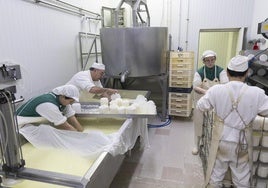 Proceso de elaboración en la quesería Cañarejal, en la localidad vallisoletana de Pollos.