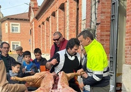 Destazado del cerdo por parte de los vecinos de Bercero