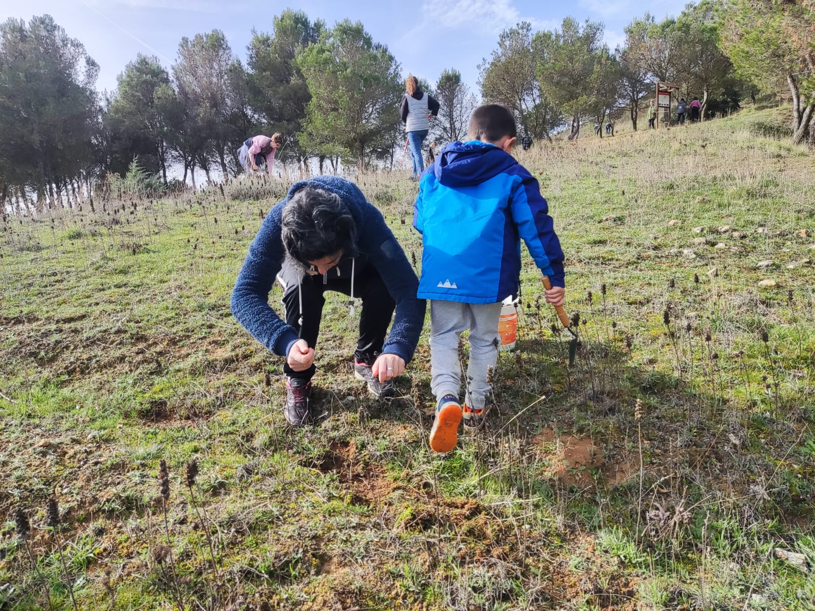 Tordehumos planta más de 600 bellotas en las laderas del castillo