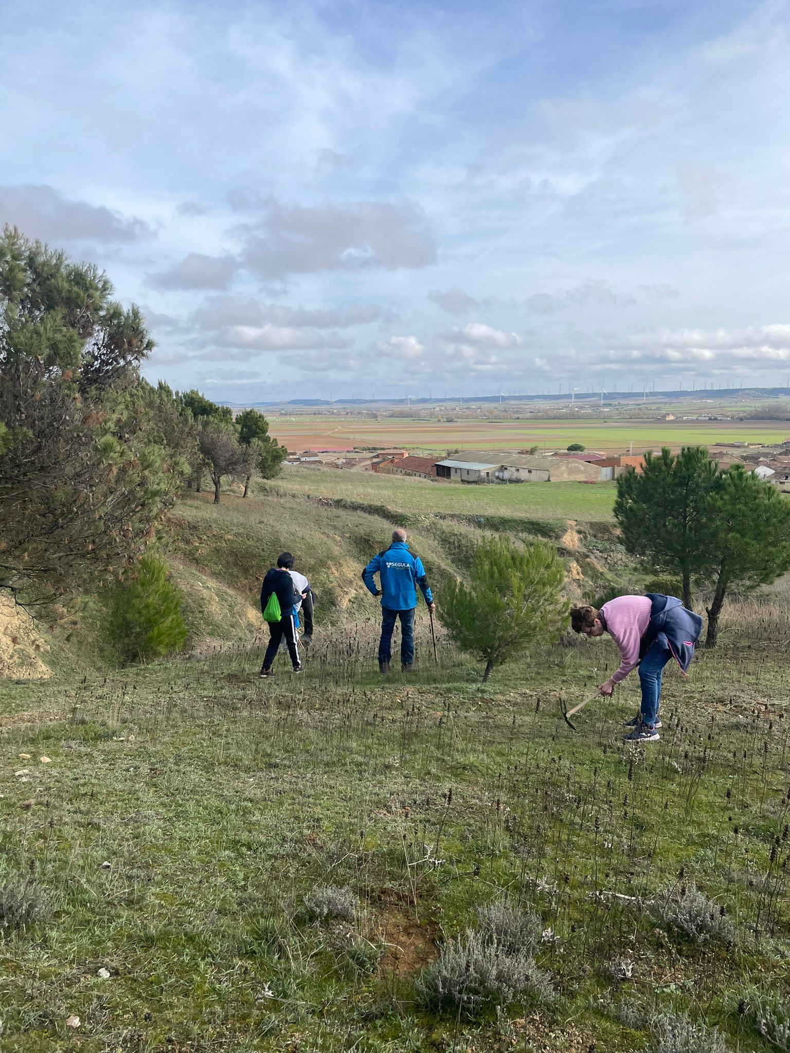 Tordehumos planta más de 600 bellotas en las laderas del castillo