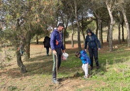Tordehumos planta más de 600 bellotas en las laderas del castillo