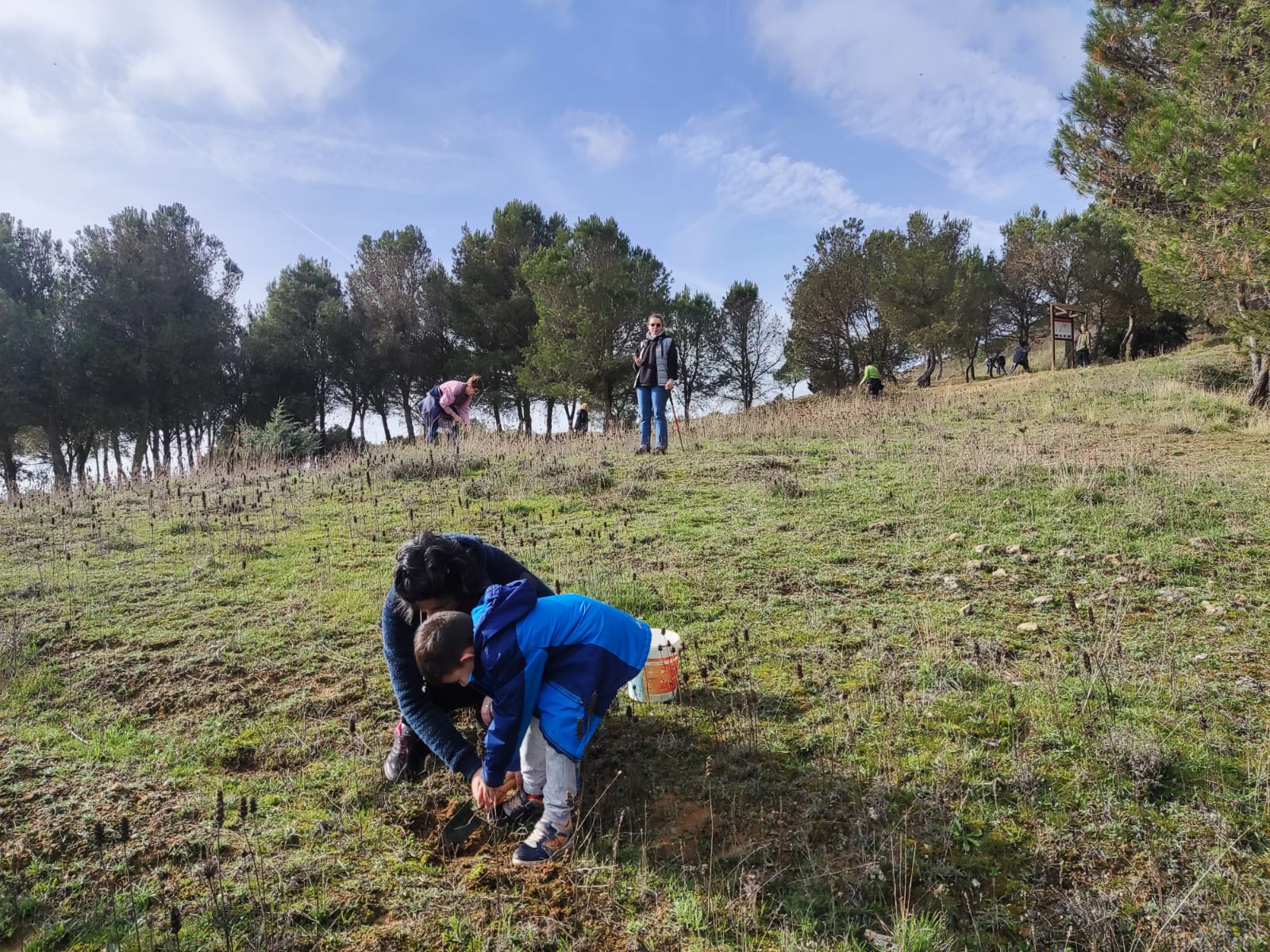 Tordehumos planta más de 600 bellotas en las laderas del castillo