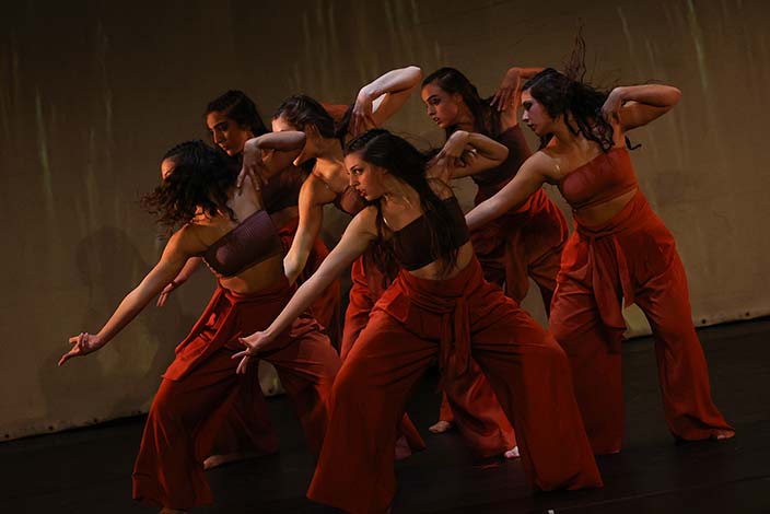 Gala solidaria de danza en Palencia