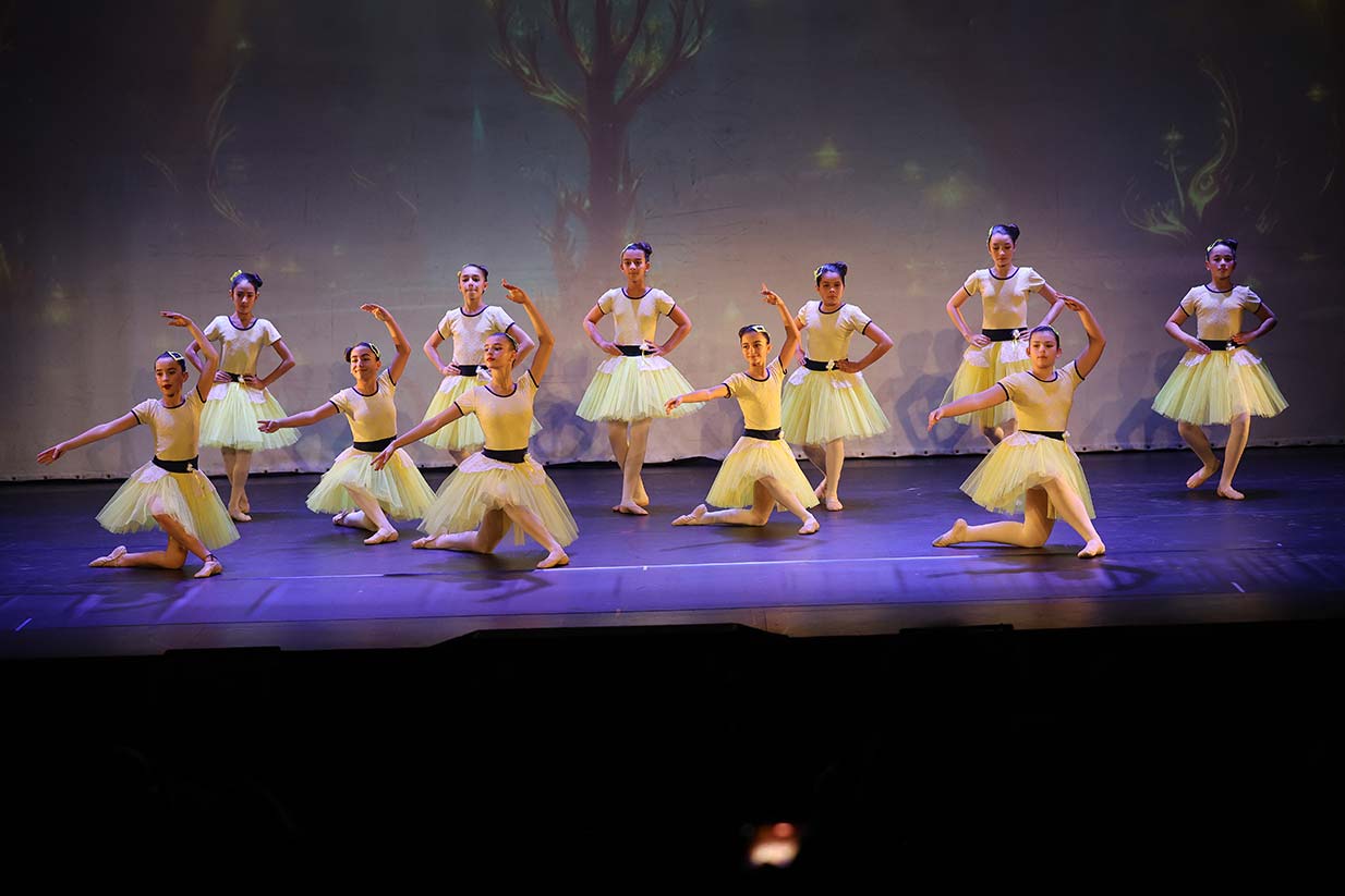 Gala solidaria de danza en Palencia