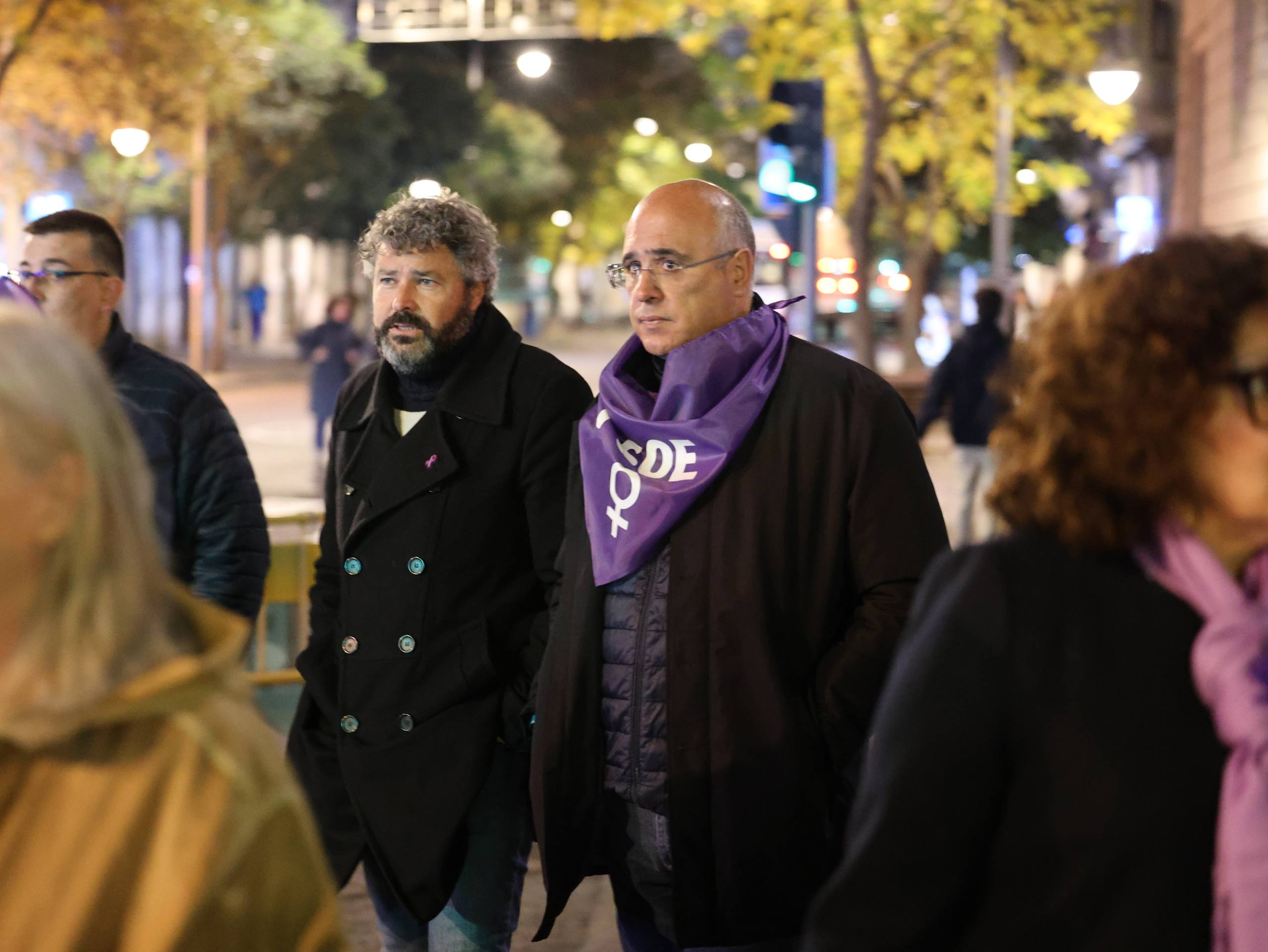 La manifestación por el 25-N en Valladolid, en imágenes