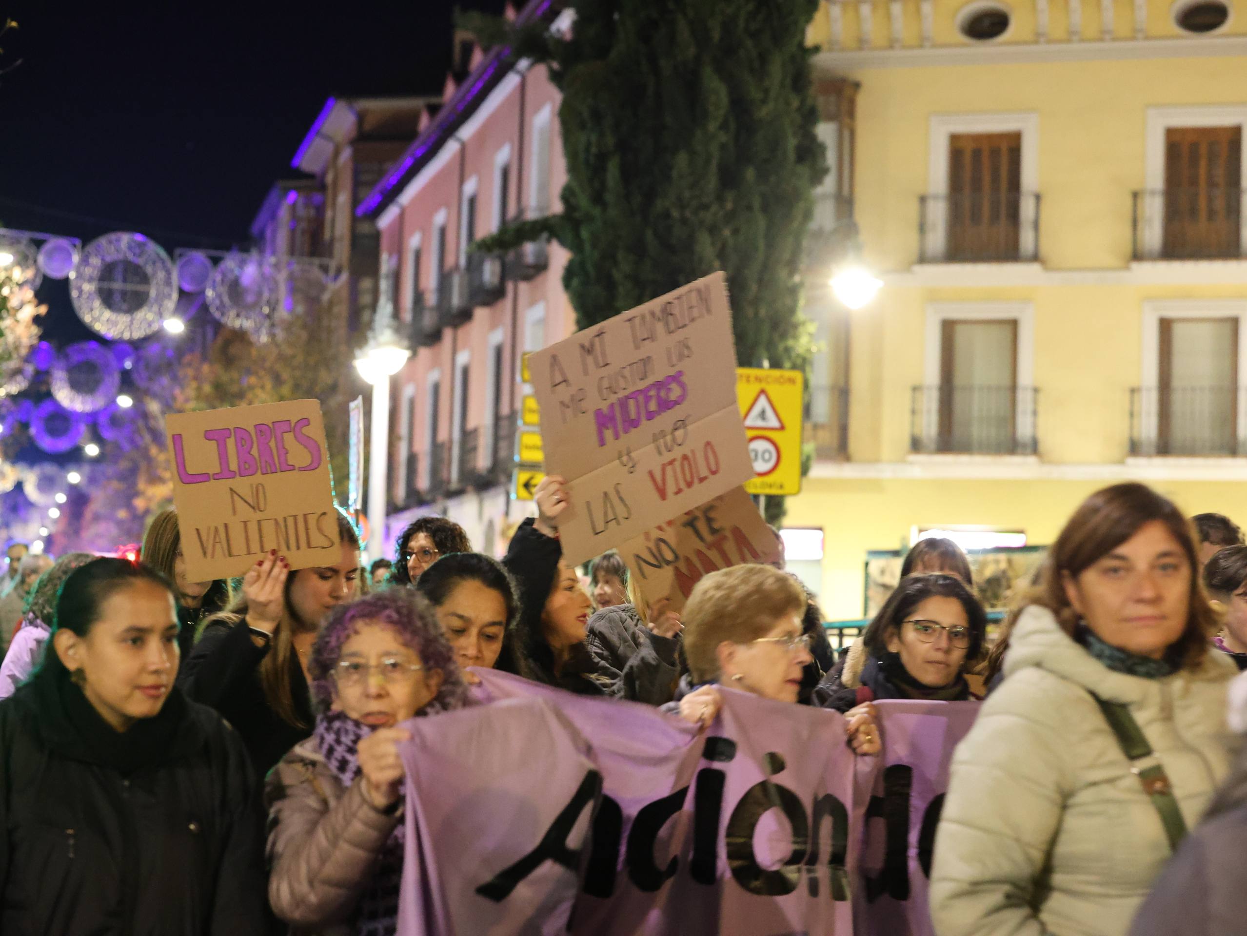 La manifestación por el 25-N en Valladolid, en imágenes