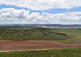 Ladera en la que se construirá el campo de tiro.