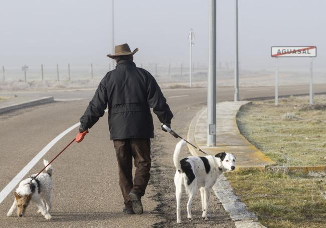 Un vecino de Aguasal pasea con sus perros a la salida del pueblo en una imagen de archivo.