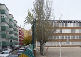 El chopo, en primer término, del patio del colegio San Francisco de Asís que será talado.