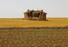 Imagen de archivo de la comarca de Tierra de Campos en Valladolid.