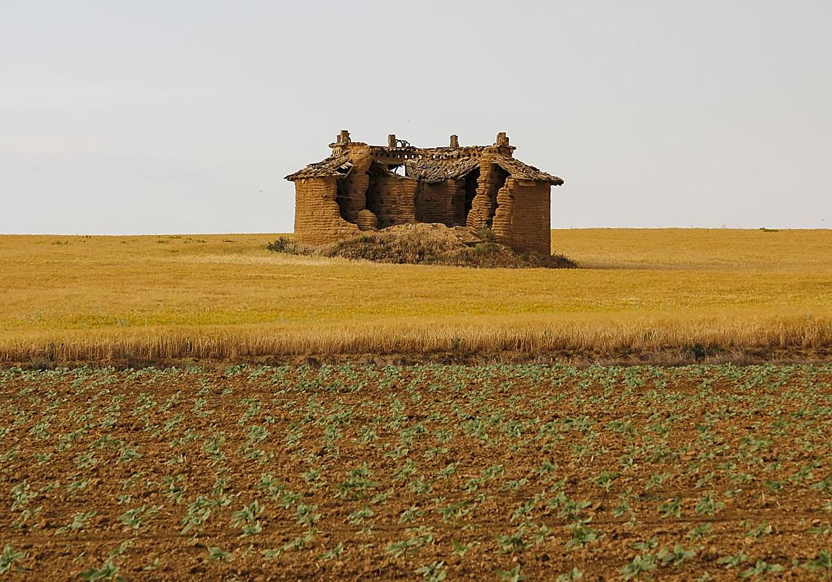 Imagen de archivo de la comarca de Tierra de Campos en Valladolid.