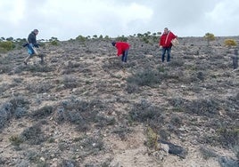 Voluntarios de la Prao de Luyas en una de las plantaciones realizadas en el entorno del Piñel de Abajo.