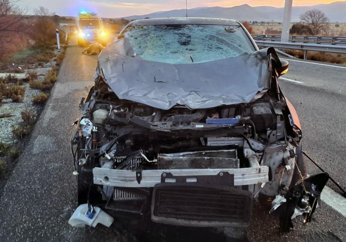Estado en que quedó el coche tras el atropello. Atrás puede verse el cadáver de la vaca.