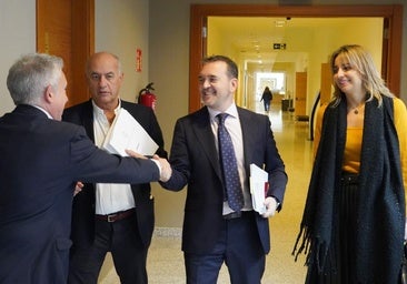 El PP se abre a regular las incompatibilidades en las Cortes tras el caso de Raúl de la Hoz