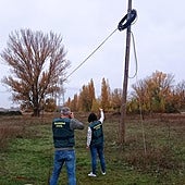 Desarticulado un grupo criminal que sustraía cable telefónico en Palencia y Burgos