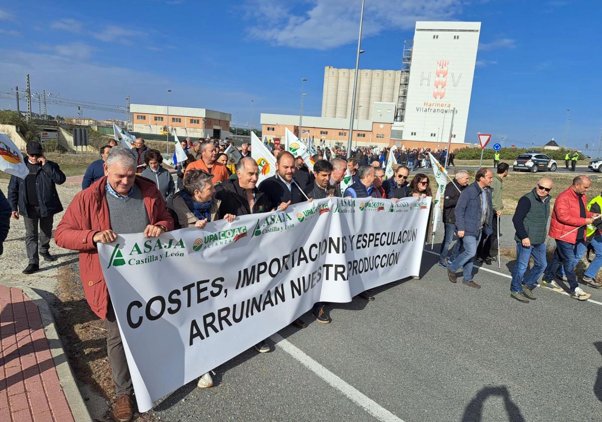 Cabeza de la manifestación desarrollada este viernes en Arévalo.