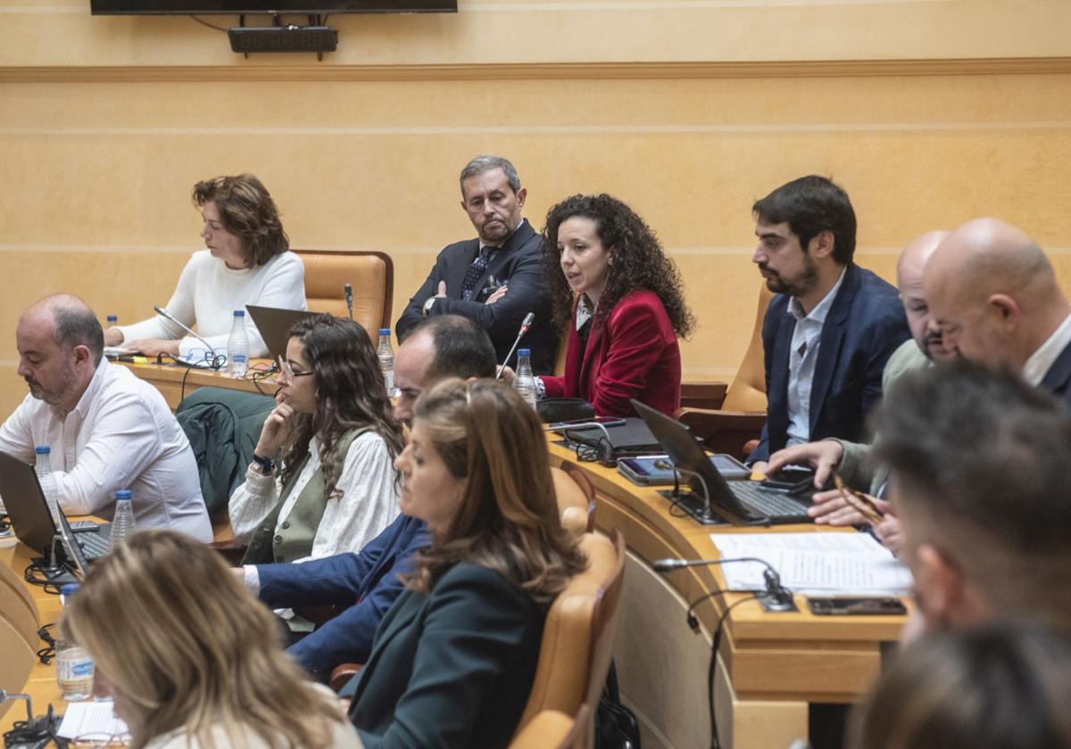 Noemí Otero, durante el pleno del pasado viernes en el Ayuntamiento de Segovia.