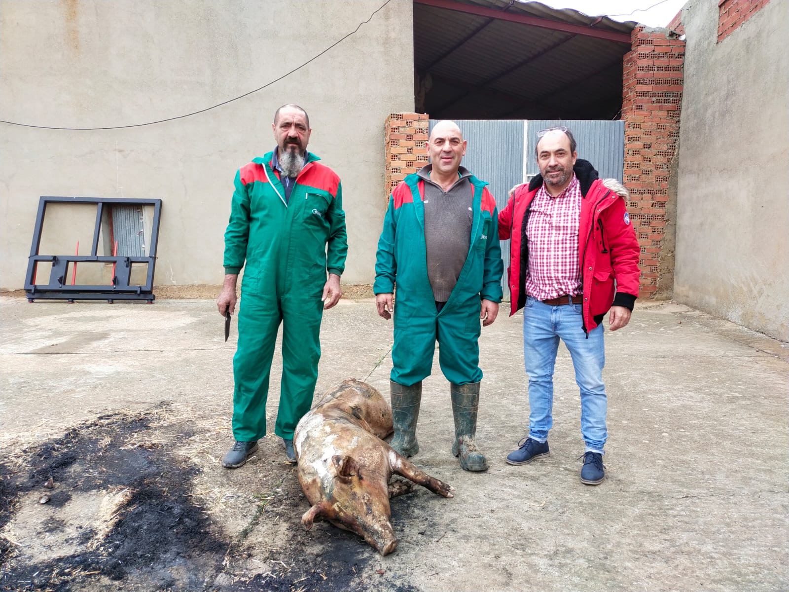 Urones de Castroponce revive el rito de la matanza