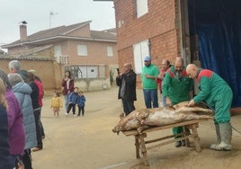 Las labores tradicionales de la matanza se iniciaron con el quemado del cerdo.