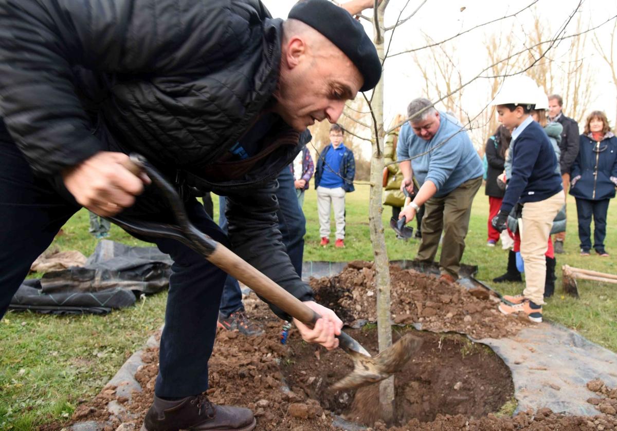 Pepe Viyuela planta un árbol, en el marco de la iniciativa del festival de cine.