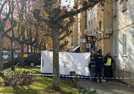 Los investigadores trabajan en el lugar del suceso en la avenida de Burgos de Aranda de Duero con el cadáver tapado y la zona acordonada.