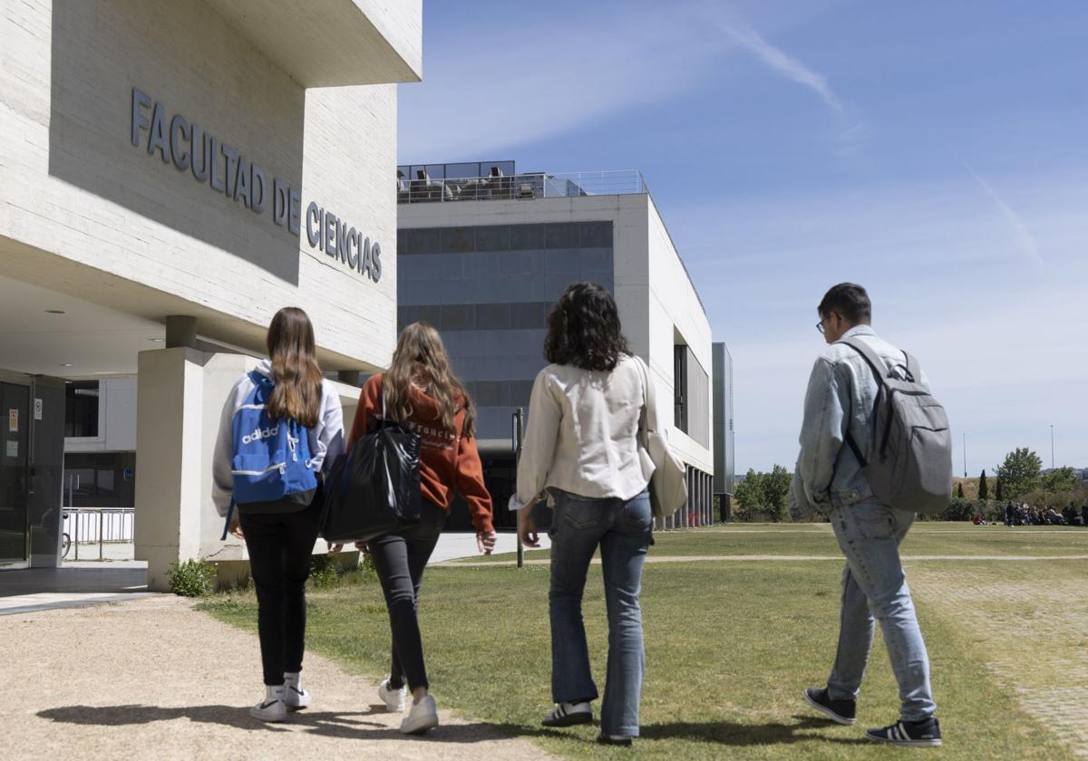 Varios alumnos caminan en el campus Miguel Delibes de la Universidad de Valladolid.