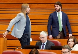 Pablo Fernández (Unidas Podemos) habla con Juan García-Gallardo (Vox) durante el Pleno de este miércoles.