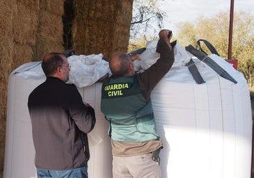 Investigado en Valladolid por la venta ilegal de semillas protegidas