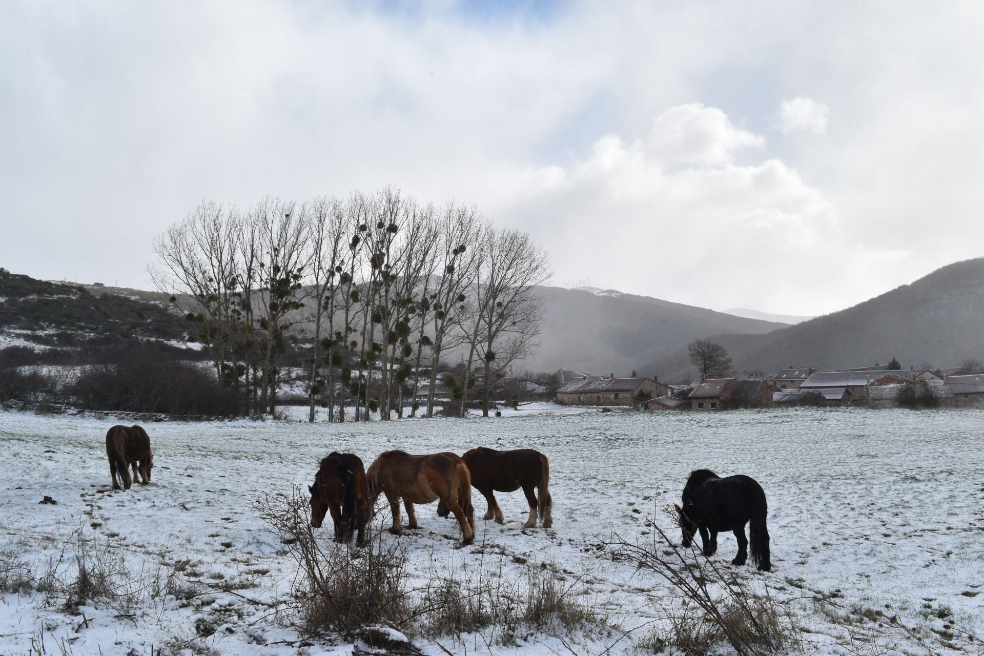 El norte de Palencia se tiñe de blanco