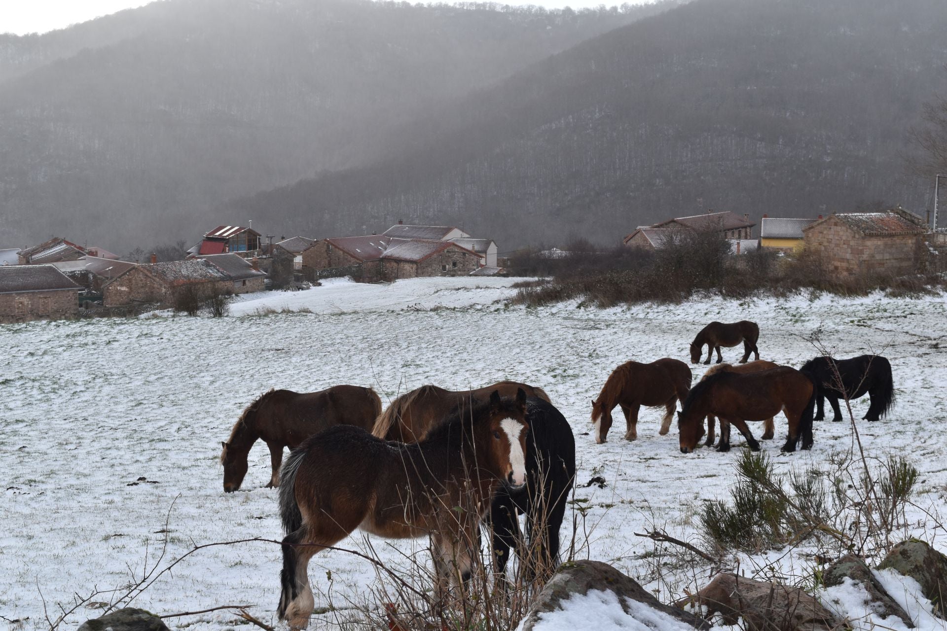 El norte de Palencia se tiñe de blanco