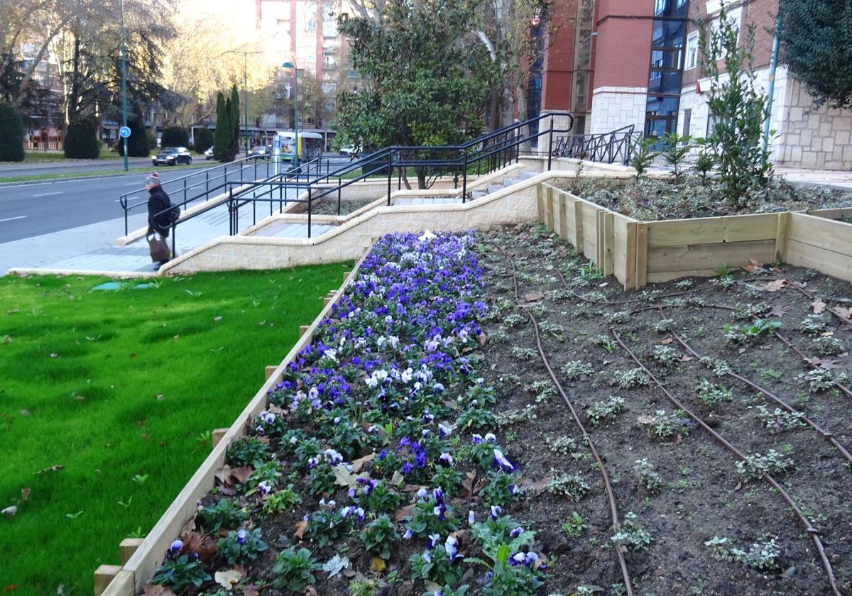 Nuevos jardines, una vez retiradas las vallas, en torno a la escalinata y la rampa de la plaza del Doctor Quemada.