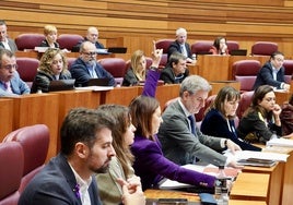 Rosa Rubio, del Grupo Parlamentario Socialista, marca el sentido del voto en una sesión reciente las Cortes.