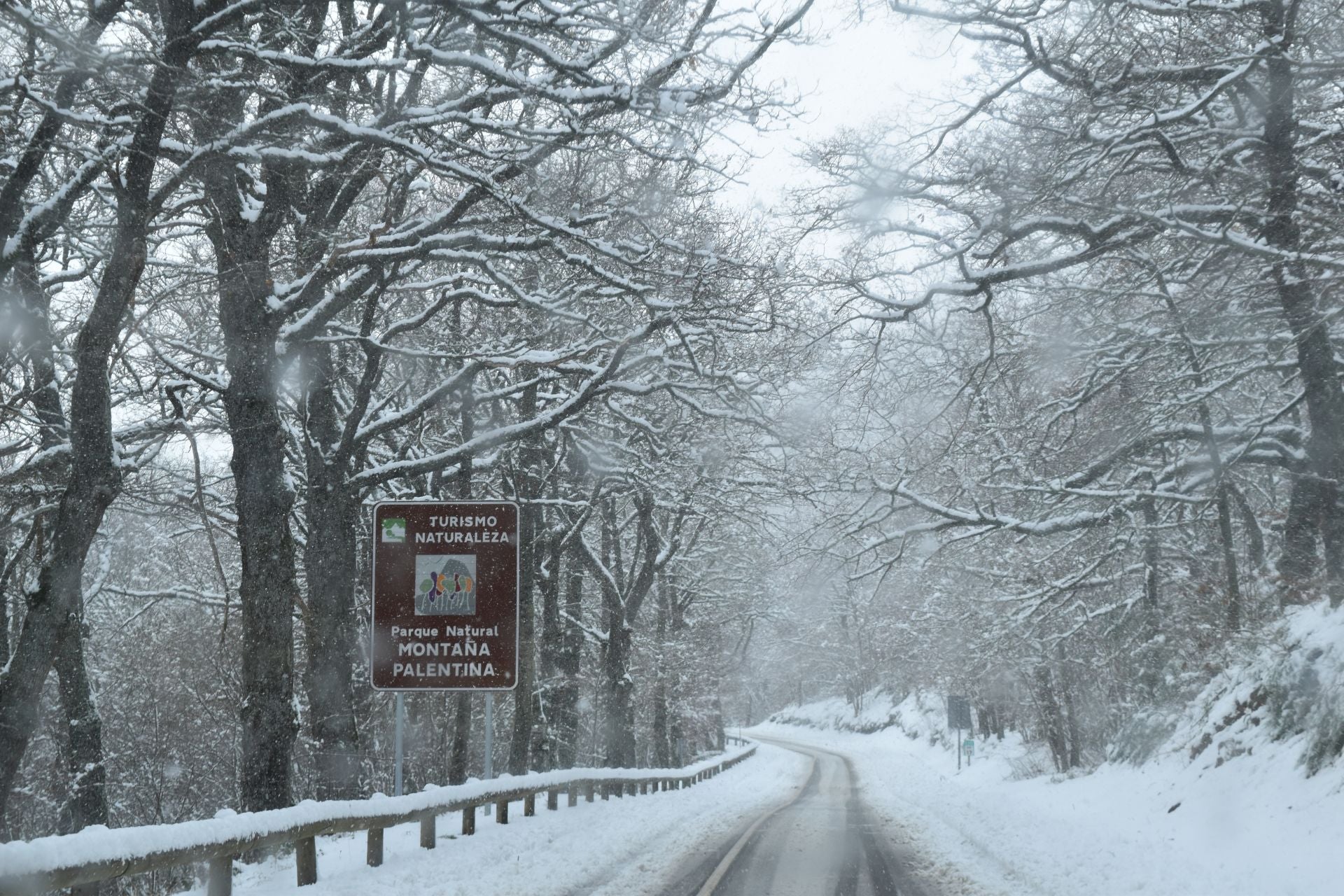 La nieve, perfecta aliada en un día festivo en la Montaña Palentina