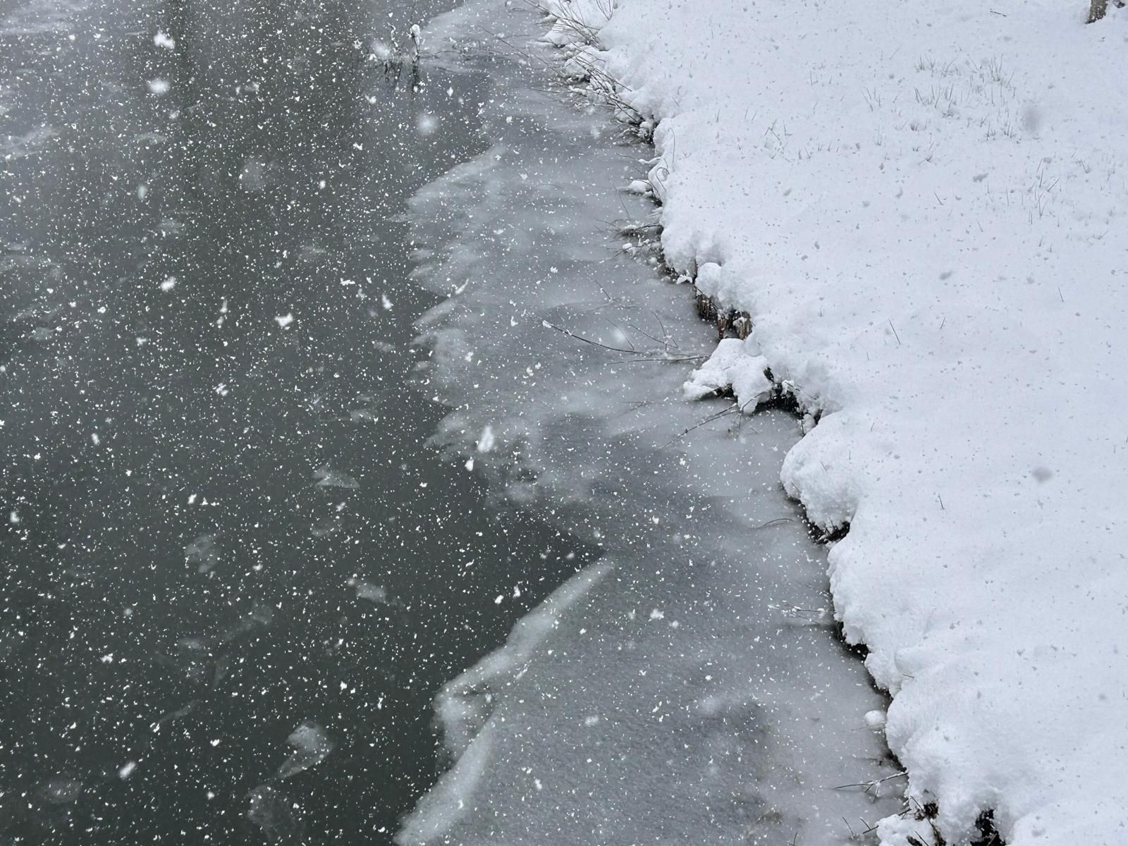 La nieve deja bonitas estampas en Cantamuda