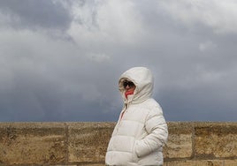 Una mujer pasea con ropa de abrigo en el día álgido del temporal de frío ártico que entró por el norte peninsular.