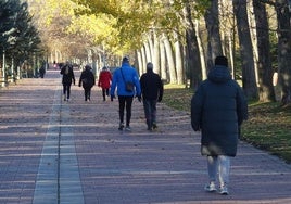 Ciudadanos de paseo por la zona peatonal del parque Ribera de Castilla.