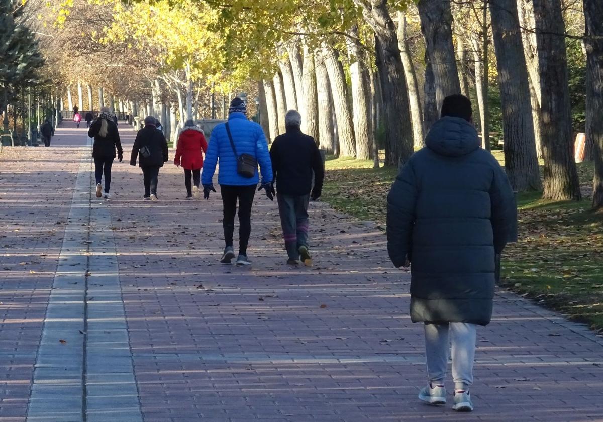 Ciudadanos de paseo por la zona peatonal del parque Ribera de Castilla.