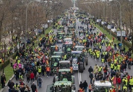 Manifestación de agricultores y ganaderos el pasado mes de febrero en Madrid.