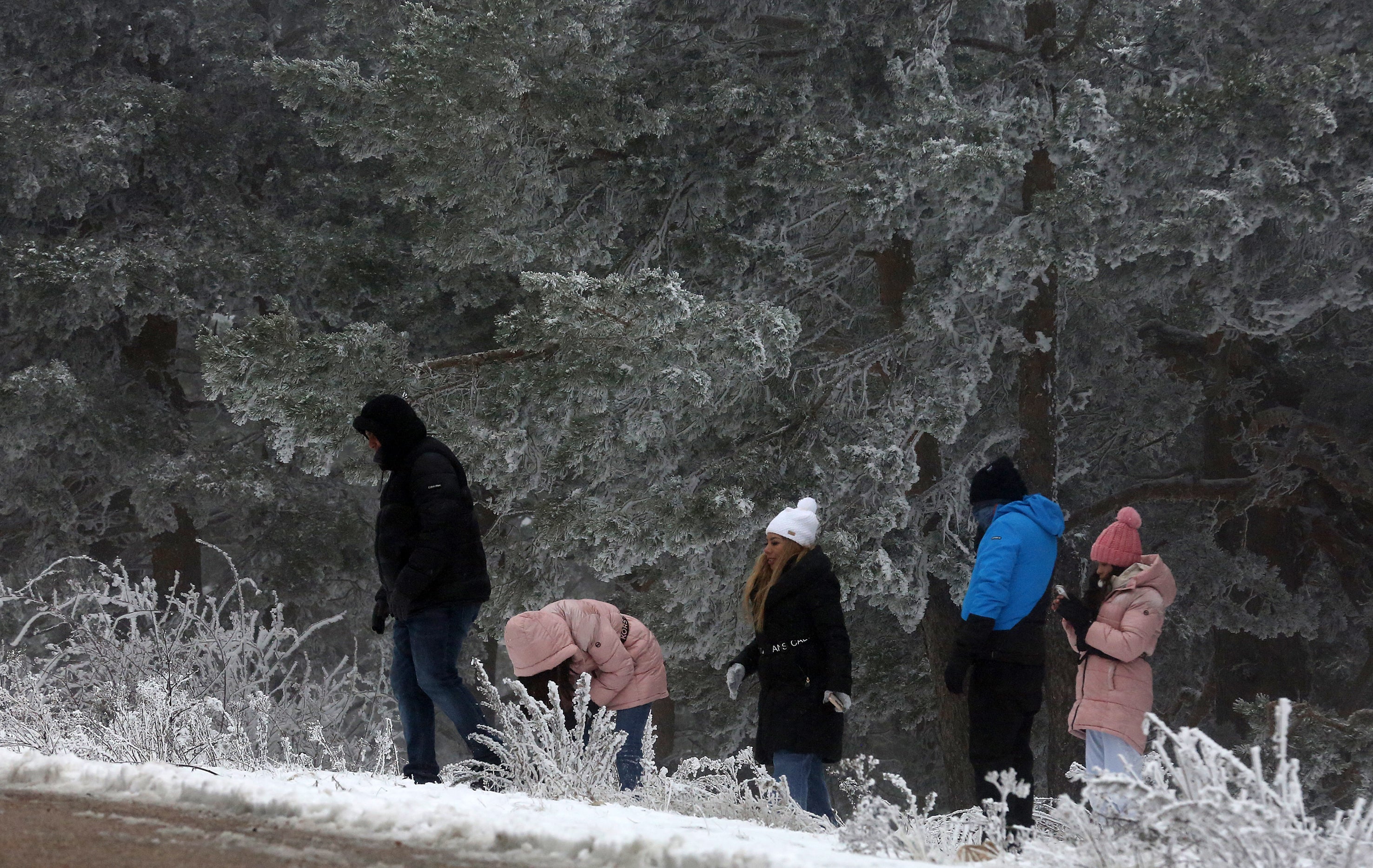 El final del otoño cubre de nieve la vertiente segoviana de la sierra de Guadarrama