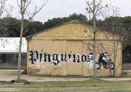 Preparativos de las instalaciones en la antigua Hípica Militar, que albergará Pingüinos del 9 al 12 de enero.