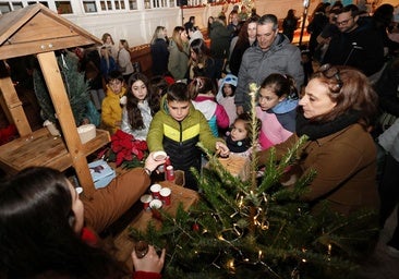 El patio de la Diputación de Palencia se viste de fantasía esta Navidad