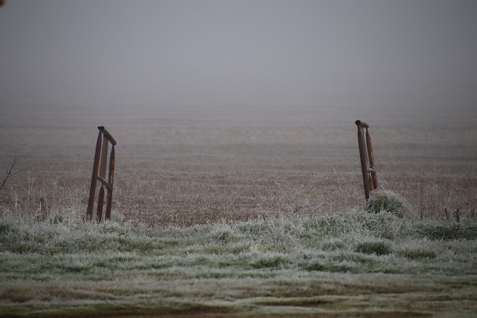 Primera cencellada en Rioseco
