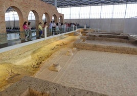 Turistas en La Olmeda.