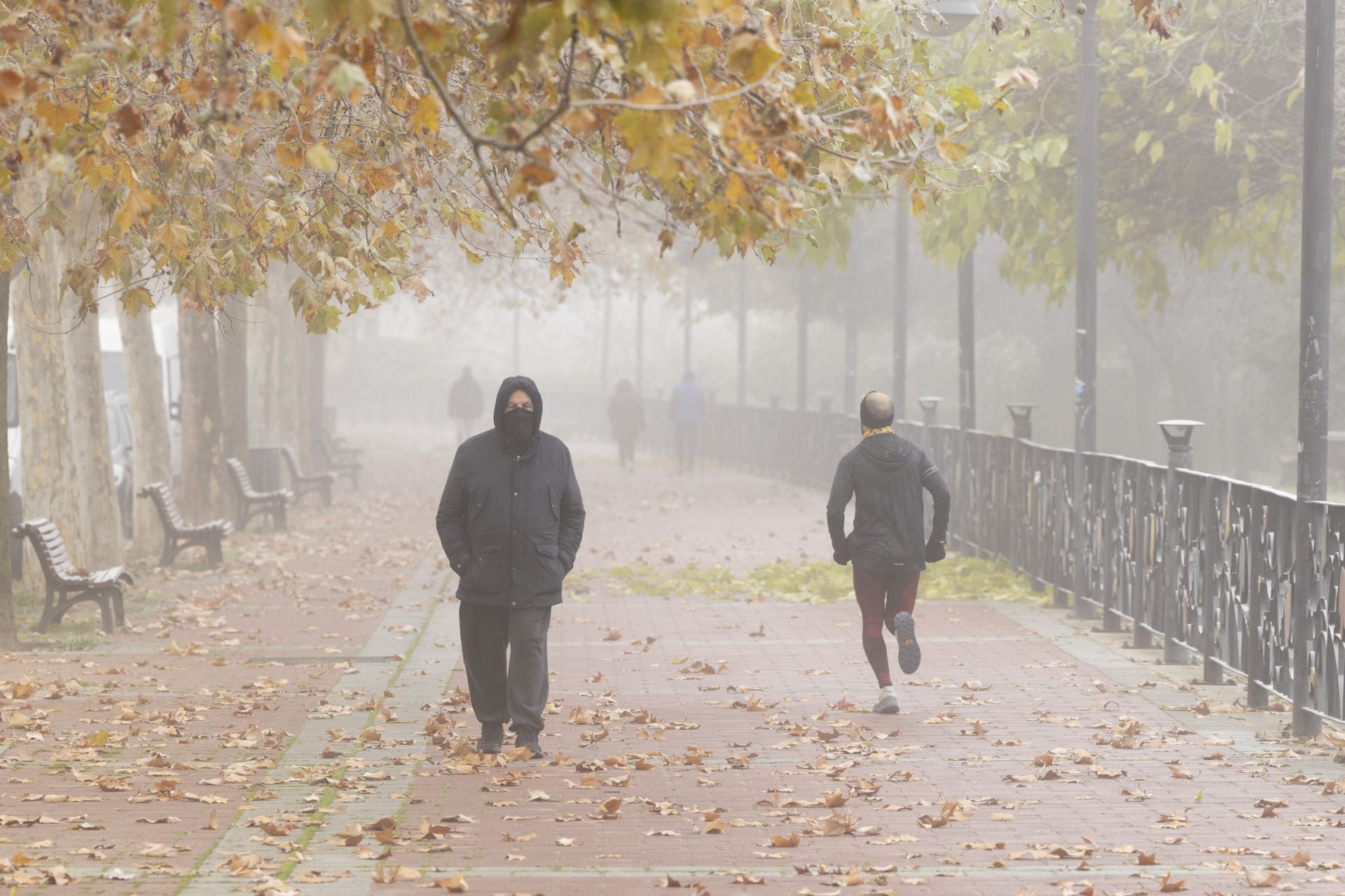 Mañana de niebla y cencellada en Valladolid